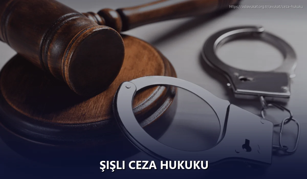 Şişli Ceza Hukuku